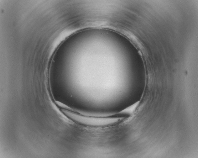 X0000088631432200706081536