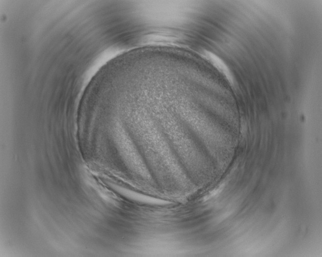 X0000088631435200706081536
