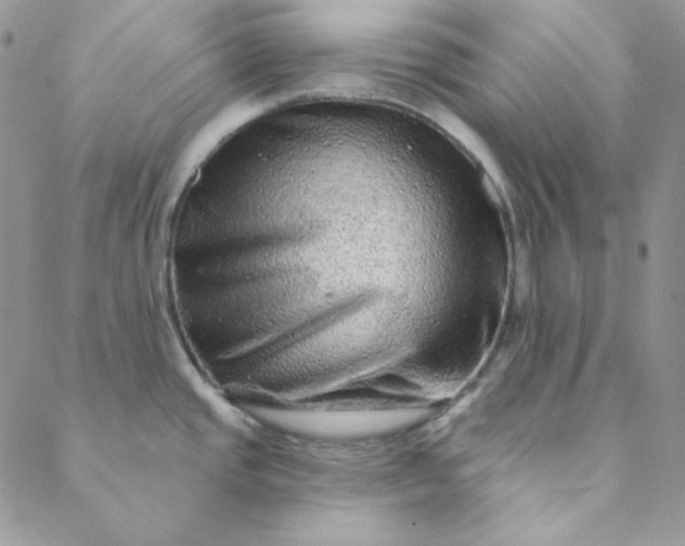 X0000088631437200706081536