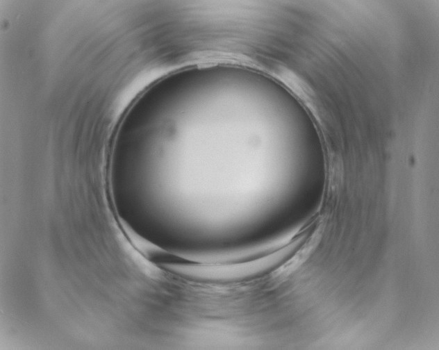 X0000088631438200706081536
