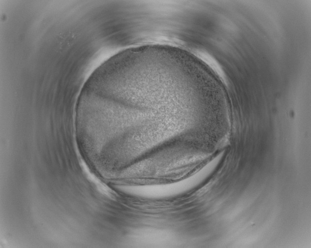 X0000088631439200706081536
