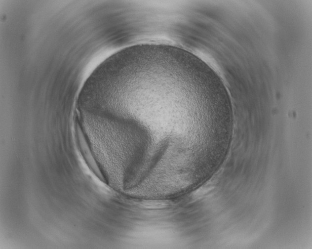 X0000088631440200706081536