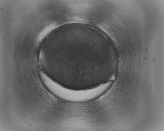 X0000088631455200706081535