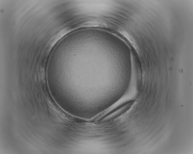 X0000088631465200706081535