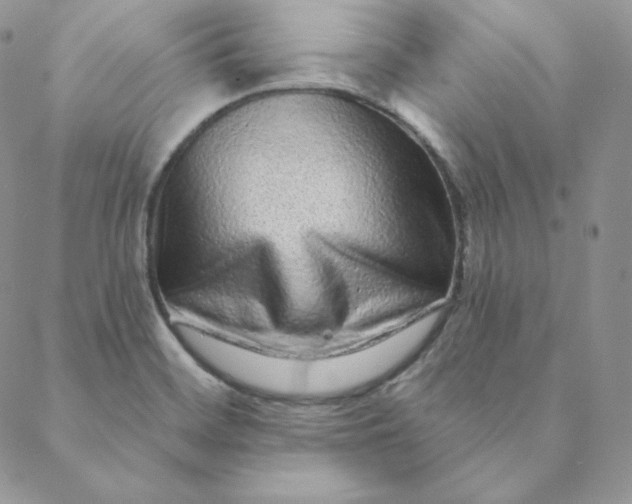 X0000088631468200706081534