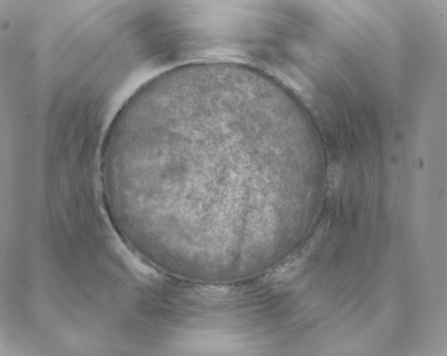 X0000088631470200706081534