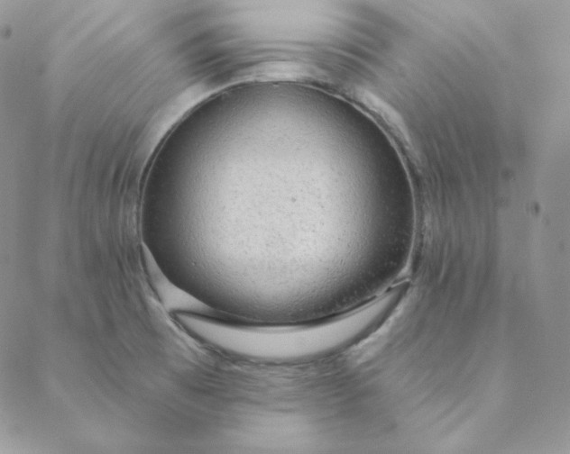 X0000088631473200706081534