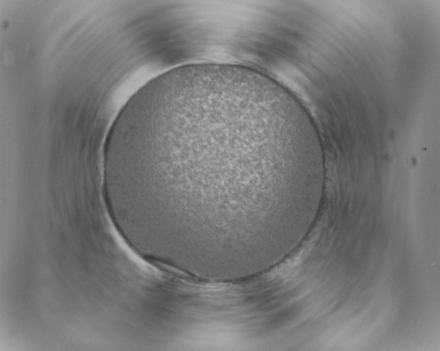 X0000088631479200706081534