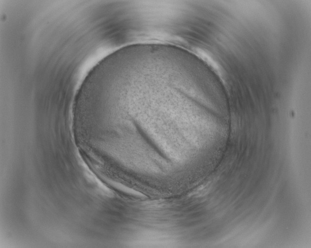X0000088631480200706081534