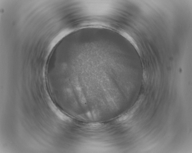 X0000088631482200706081534
