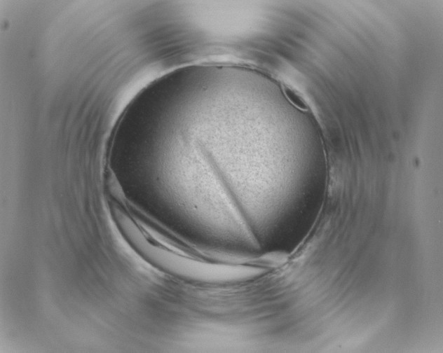 X0000088631483200706081534