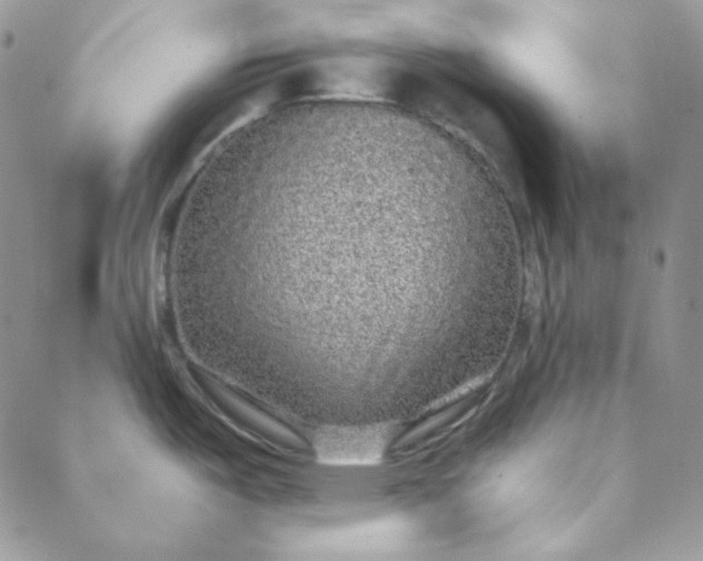 X0000088631487200706081534