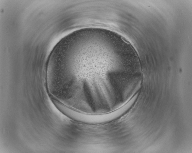 X0000088631531200706081534