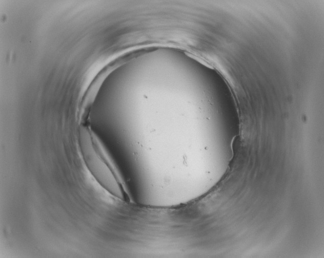 X0000088631532200706081534