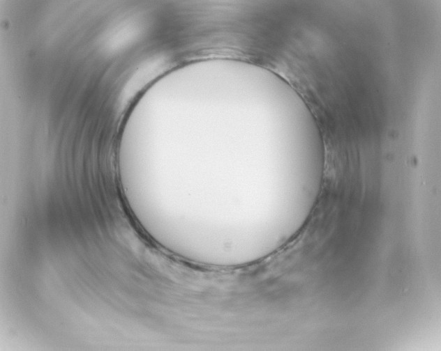 X0000088630004200706151929