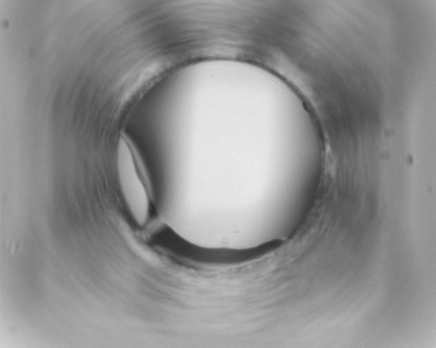 X0000088630013200706151929