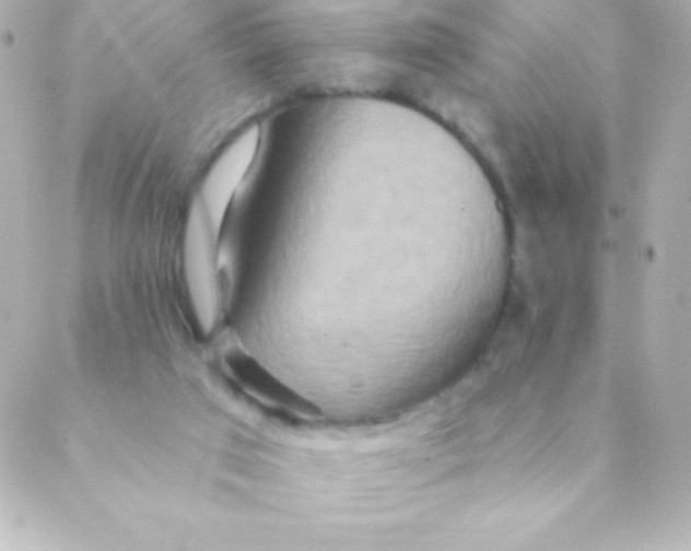 X0000088630017200706151929