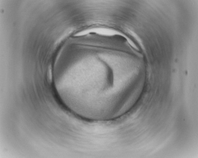 X0000088630020200706151928