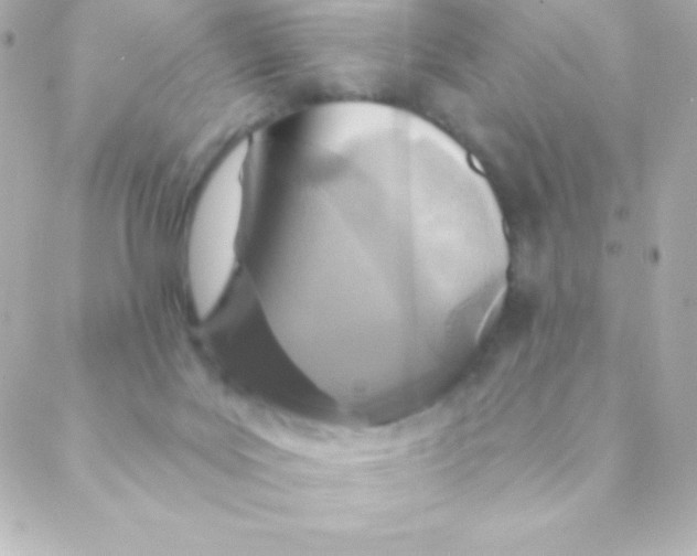 X0000088630027200706151928
