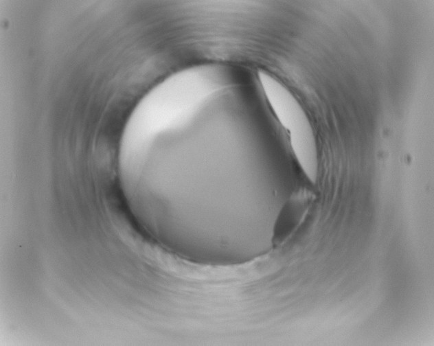 X0000088630031200706151928