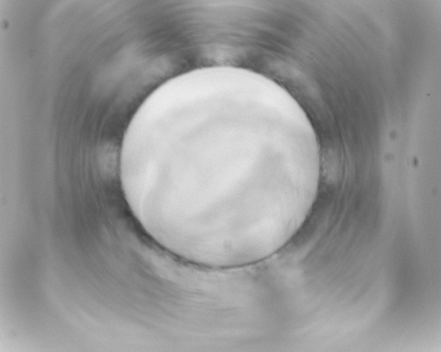 X0000088630036200706151928