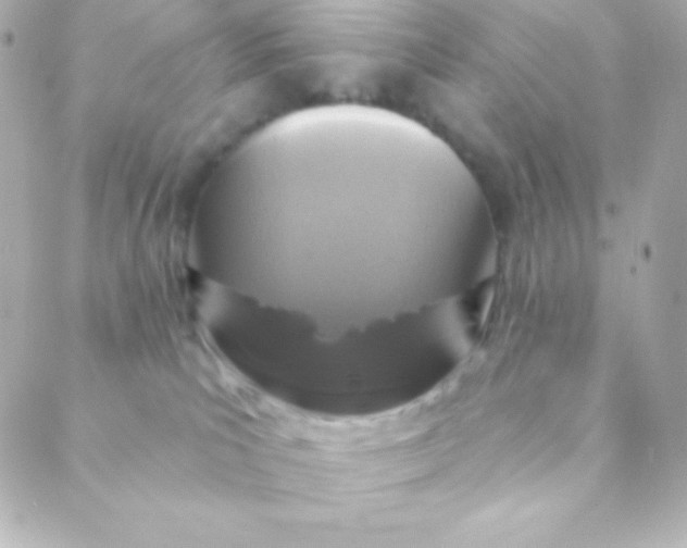 X0000088630039200706151928