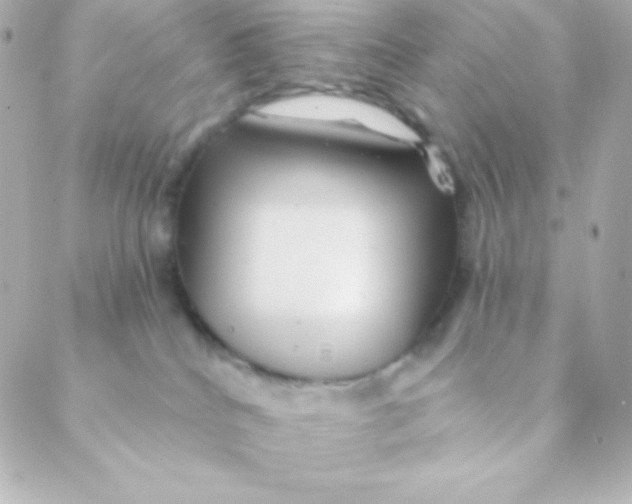 X0000088630040200706151928