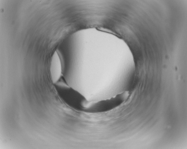 X0000088630041200706151928