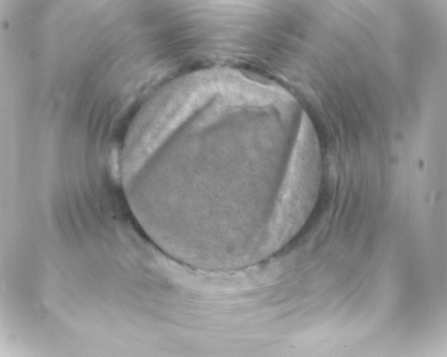 X0000088630042200706151928