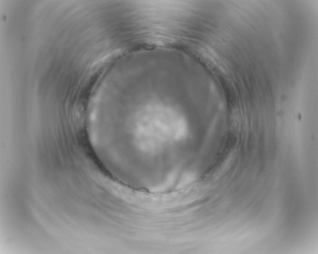 X0000088630043200706151928