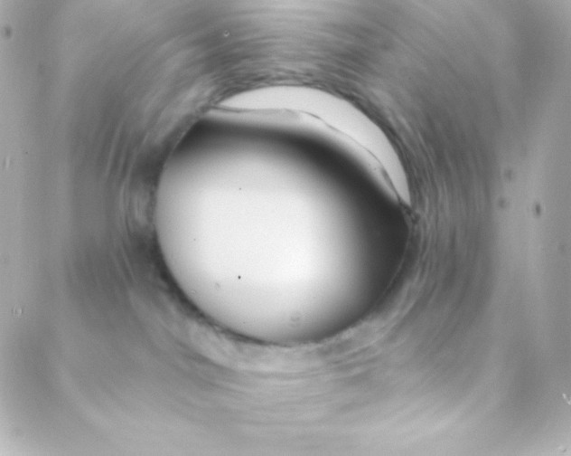X0000088630044200706151928