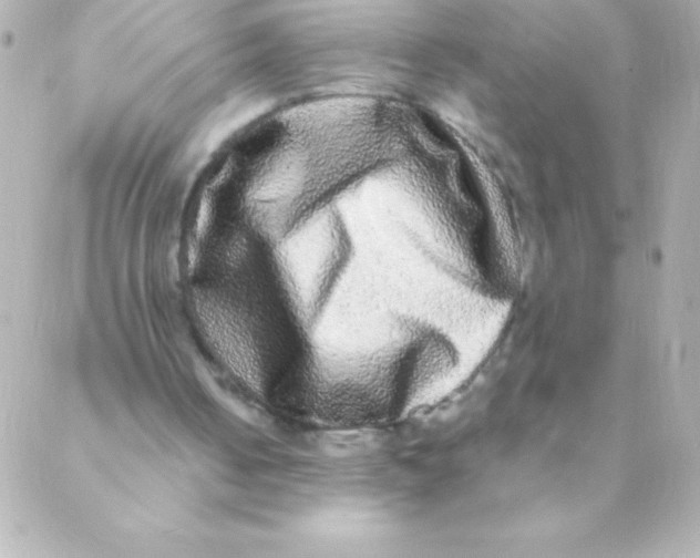X0000088630050200706151927