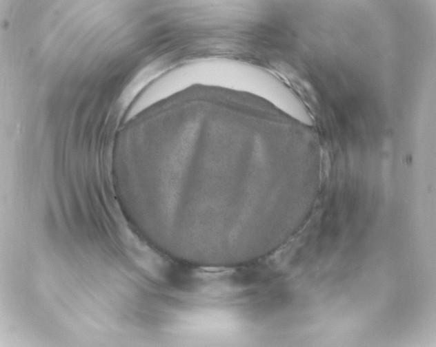 X0000088630051200706151927