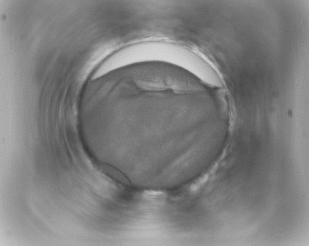 X0000088630055200706151927