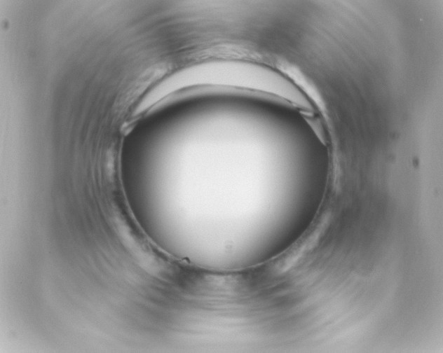 X0000088630057200706151927