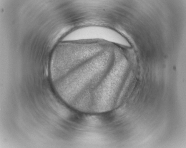 X0000088630062200706151927