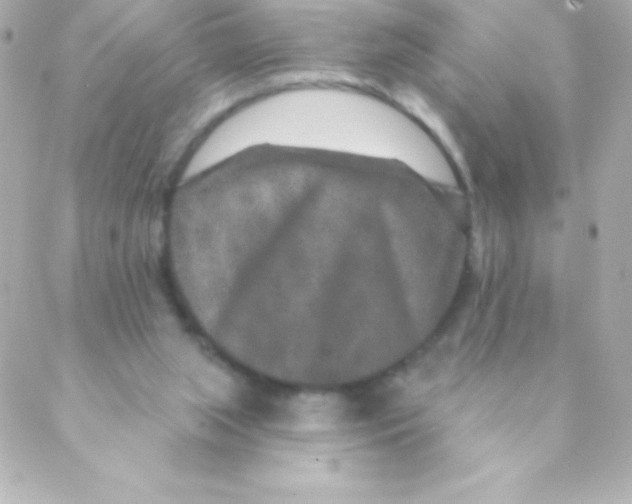 X0000088630063200706151927