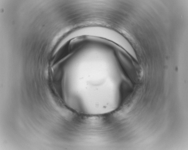 X0000088630064200706151927