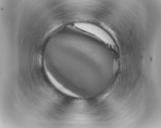 X0000088630067200706151928