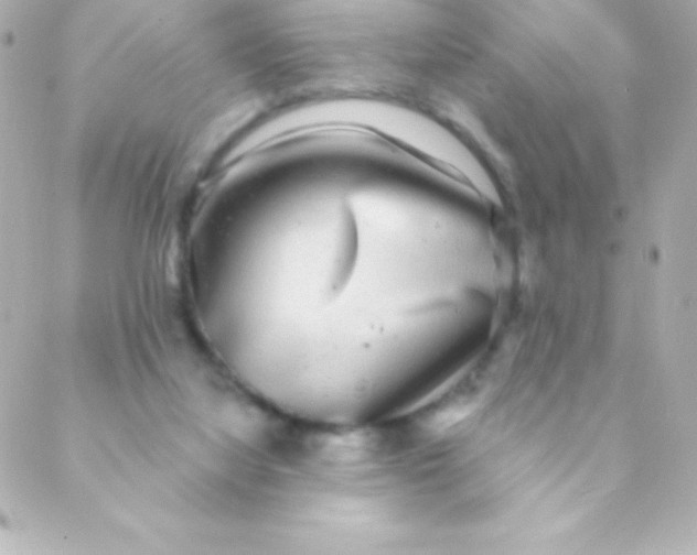 X0000088630068200706151928