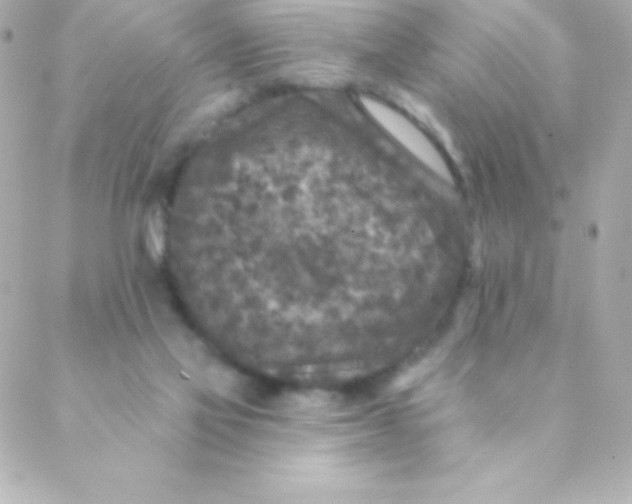 X0000088630069200706151928