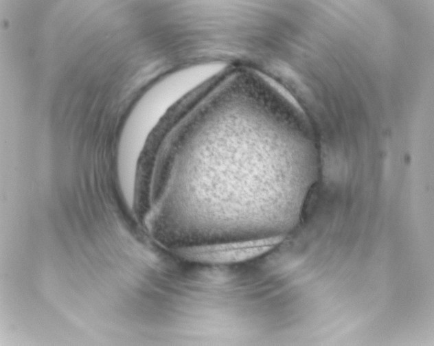 X0000088630071200706151928