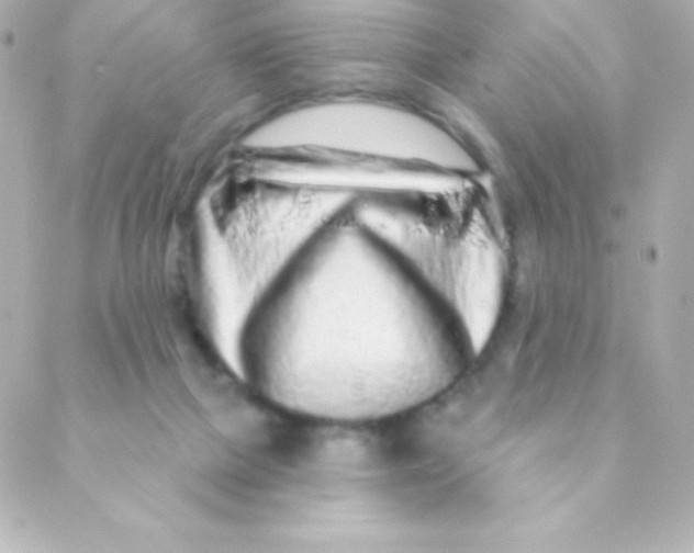 X0000088630073200706151928