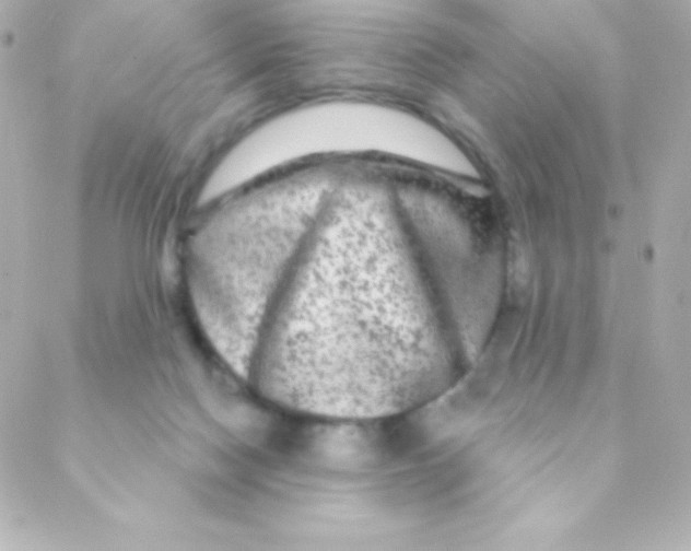 X0000088630074200706151928