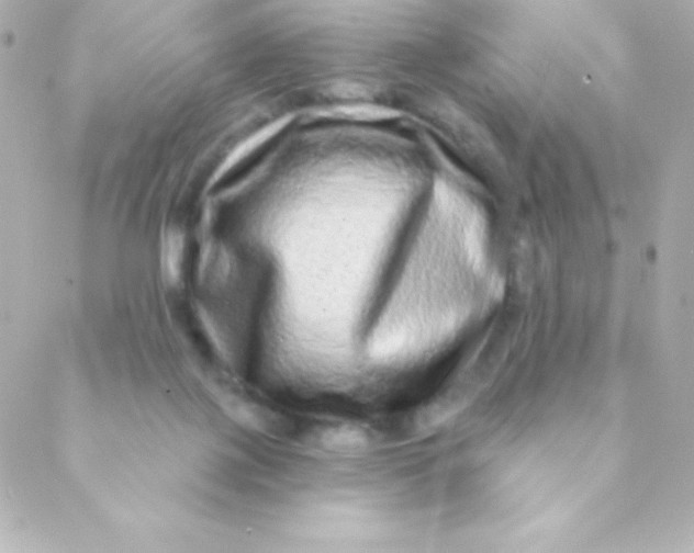 X0000088630075200706151928