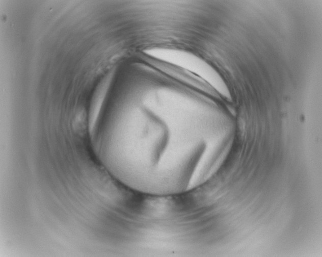 X0000088630079200706151928