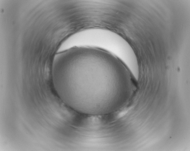 X0000088630080200706151928