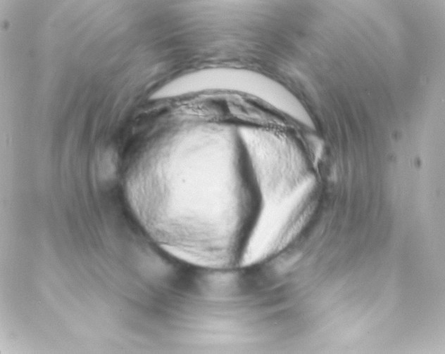 X0000088630081200706151928