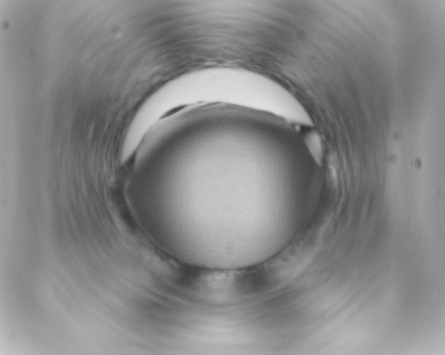 X0000088630084200706151928