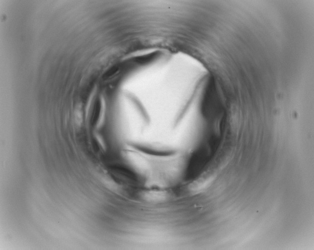 X0000088630085200706151928